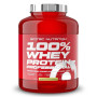 100% Whey Protein Professional Scitec Nutrition - 1