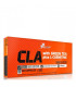 CLA with Green Tea plus L-Carnitine Olimp sport nutrition - 1
