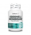 Eggshell Membrane BioTech USA - 1