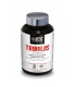 Tribulus Synergy+ STC Nutrition - 1