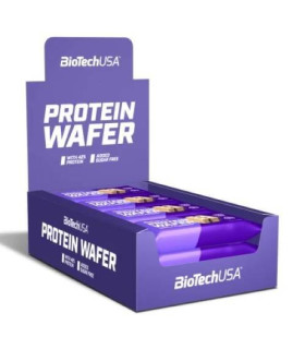 Protein Wafer BioTech USA - 1