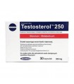 Testosterol 250 Megabol - 1