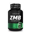 ZMB BioTech USA - 1